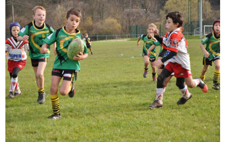 Plan de reprise du rugby